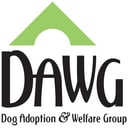 DAWG_Logo