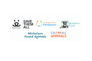 ASAP Cats is grateful to the California Animals Welfare Funders Collaborative for their generous grant funding in support of our veterinary program.