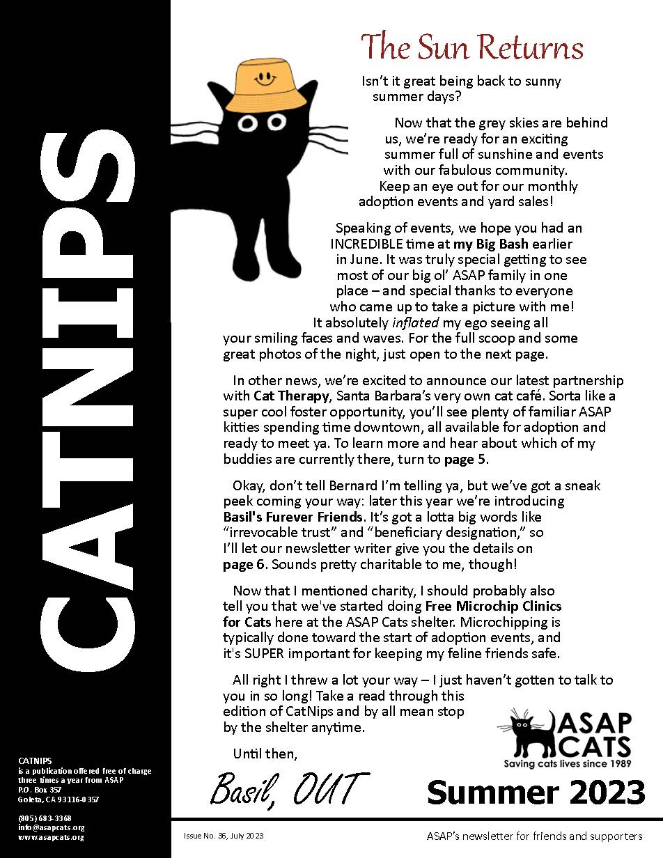 2023 Summer CatNips