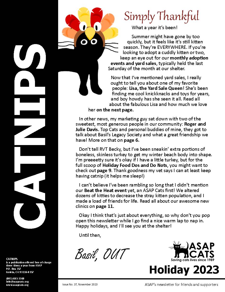 2023 Summer CatNips