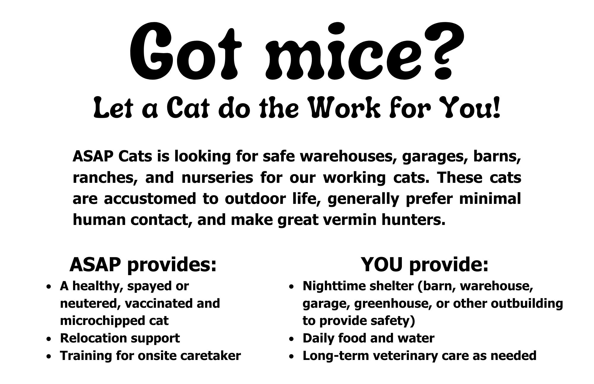 Working Cats Postcard