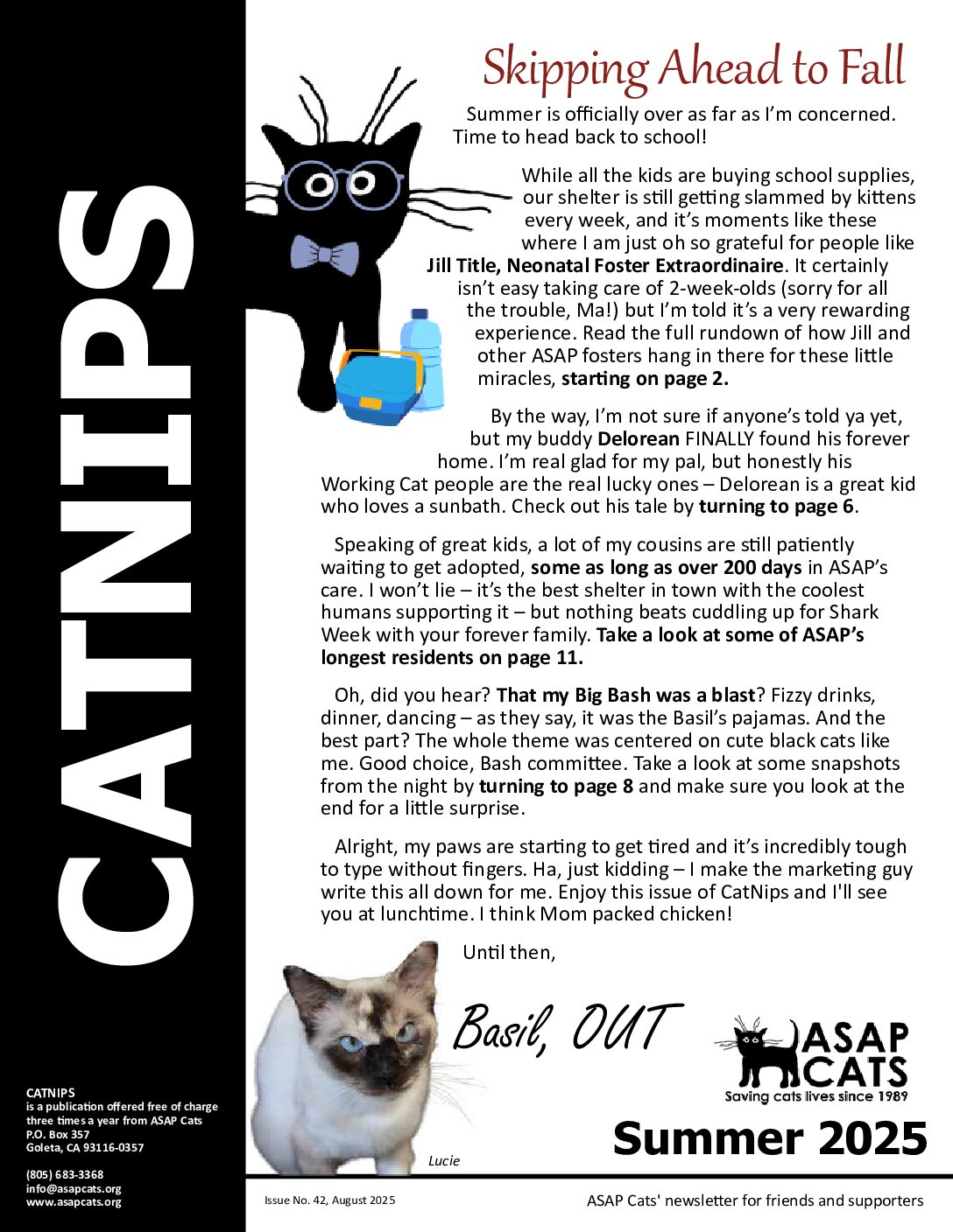 2020 Summer Cat Nips