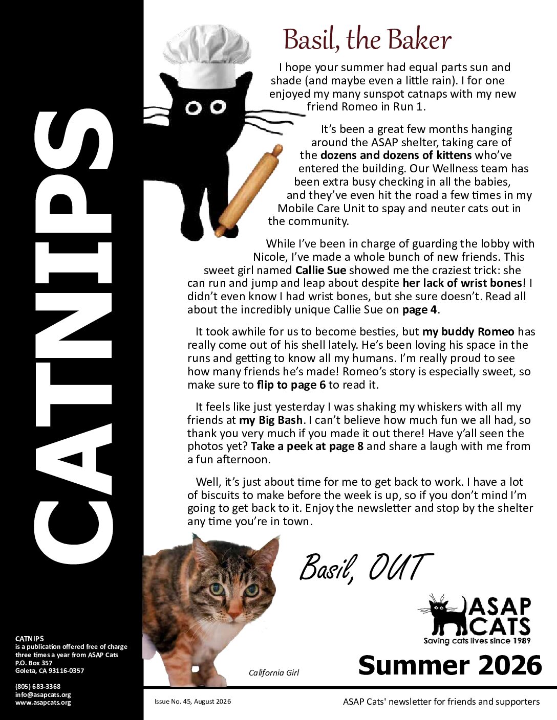 2023 Summer CatNips